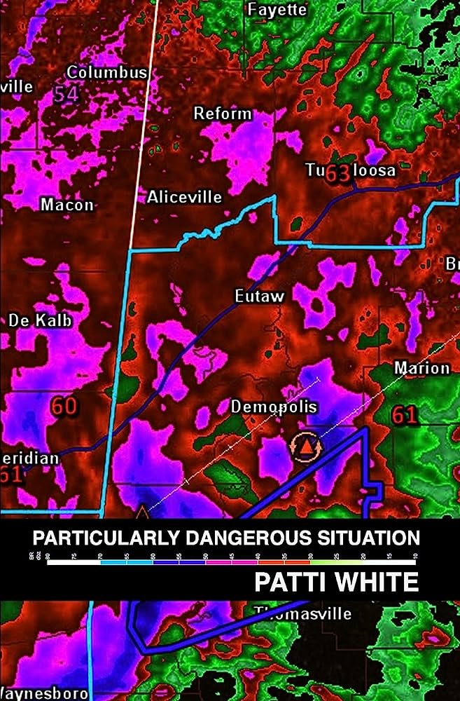 Particularly Dangerous Situation [Book Review]